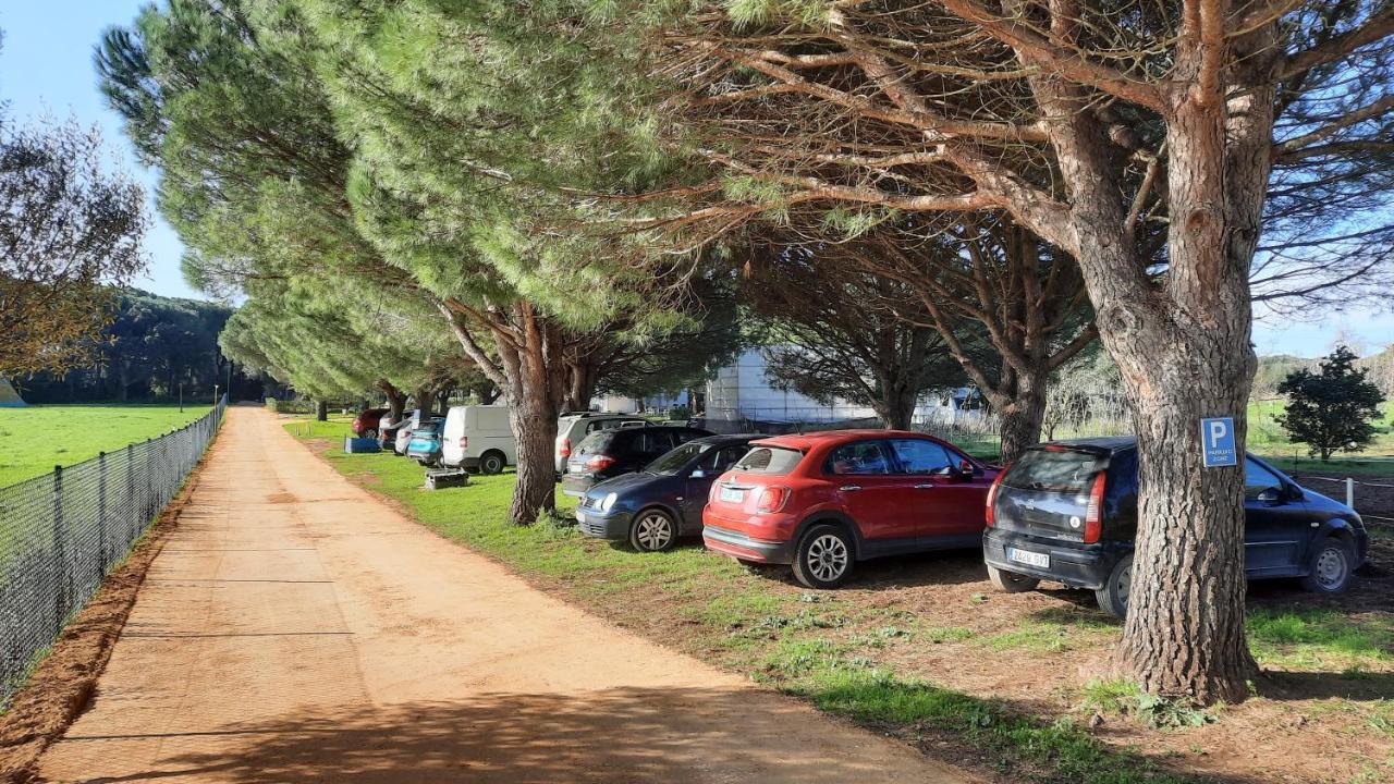 El Oasis De Anayansi Cabanas Con Encanto Vejer de la Frontera Eksteriør bilde
